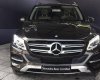 Mercedes-Benz GLE-Class 400  2015 - Bán Mercedes GLE 400 sản xuất 2015, màu nâu