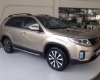 Kia Sorento GAT 2017 - Bán xe Kia Sorento năm 2017, màu trắng, nhập khẩu nguyên chiếc