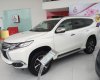 Mitsubishi Pajero Sport 4x4 AT 2017 - [TP. Hồ Chí Minh] Bán Mitsubishi All New Pajero Sport 2017, giá tốt, hỗ trợ cho vay 80% xe