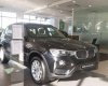 BMW X3 xDrive 20i 2018 - BMW X3 xDrive 20i đời 2018, màu đen, nhập khẩu