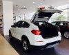 BMW X4 xDriver20i 2017 - Bán BMW X4 xDriver20i đời 2017, màu trắng, xe nhập