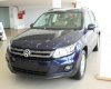 Volkswagen Tiguan 2.0 AT 2017 - Bán Volkswagen Tiguan 2.0 AT năm 2017, màu xanh lam, xe nhập