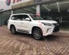 Lexus GX 2017 - Bán ô tô Lexus GX 2017 - 7 tỷ 500 triệu đời 2017, màu trắng, xe nhập
