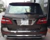 Mercedes-Benz ML Class ML400 2015 - Bán ô tô Mercedes ML400 2015, màu nâu, nhập khẩu