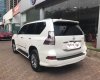 Lexus GX460 2016 - Bán Lexus GX460 đời 2016, màu trắng, nhập khẩu, như mới