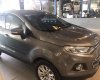 Ford EcoSport Titatium 2016 - Bán xe Ford EcoSport Titatium 2016, màu nâu 