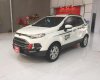 Ford EcoSport 2015 - Bán Ford EcoSport sản xuất năm 2015, màu trắng