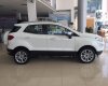 Ford EcoSport Titanium 2018 - Bán EcoSports 2018 màu trắng tại Nam Định 2018, giao ngay hỗ trợ giao xe, trả góp toàn quốc