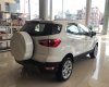 Ford EcoSport Titanium 2018 - Bán EcoSports 2018 màu trắng tại Nam Định 2018, giao ngay hỗ trợ giao xe, trả góp toàn quốc