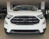 Ford EcoSport Titanium 2018 - Bán EcoSports 2018 màu trắng tại Nam Định 2018, giao ngay hỗ trợ giao xe, trả góp toàn quốc