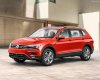 Volkswagen Tiguan 2.0L TSI 4Motion 2017 - Bán Volkswagen Tiguan Allspace, (màu xanh đen, đỏ), nhập khẩu chính hãng - LH: 0933.365.188