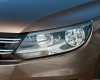 Volkswagen Tiguan 2.0 TSI 4Motion 2016 - Bán xe Volkswagen Tiguan, nhập khẩu chính hãng. LH: 0933.365.188