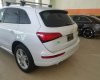 Audi Q5 2016 - Bán Audi Q5 sản xuất năm 2016, màu trắng, nhập khẩu nguyên chiếc