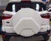 Ford EcoSport 1.5l AT Titanium  2018 - Bán ô tô Ford EcoSport 1.0l, 1.5l AT Titanium, 1.5L AT Trend, 1.5l AT Ambiente 1.5lMT Ambiente đời 2018, màu trắng