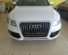 Audi Q5 2016 - Bán Audi Q5 sản xuất năm 2016, màu trắng, nhập khẩu nguyên chiếc