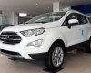 Ford EcoSport 1.5 Titanium 2018 - Bán xe Ford EcoSport 2018 1.5l AT Titanium màu trắng. LH: 0915445535 Ford Vinh, Ford Nghệ An, Ford Hà Tĩnh