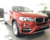 BMW X6 xDrive35i 2017 - Hot Nhất Tháng 5 - Bán BMW X6 xDrive35i Flamenco Red - Nhập khẩu nguyên chiếc mới 100%- Giao xe ngay 0938906047