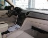 Cadillac Escalade  Plantinum 2008 - Bán Cadillac Escalade Plantinum sản xuất 2008, màu bạc, xe nhập