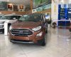 Ford EcoSport 2018 - Cần bán Ford EcoSport sản xuất năm 2018