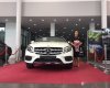 Mercedes-Benz CLA class GLA 250  4Matic 2017 - Bán ô tô Mercedes GLA 250  4Matic đời 2017, màu trắng như mới