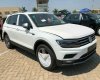 Volkswagen Tiguan E 2018 - Xe Volkswaegn Tiguan Allspace 2018 chính thức có mặt tại việt nam – hotline; 0909 717 983