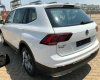 Volkswagen Tiguan E 2018 - Xe Volkswaegn Tiguan Allspace 2018 chính thức có mặt tại việt nam – hotline; 0909 717 983
