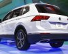 Volkswagen Tiguan Mass 2016 - Bán Volkswagen Tiguan sản xuất năm 2016, màu trắng, nhập khẩu nguyên chiếc