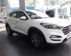 Hyundai Tucson 2.2 DATH 2018 - Bán Hyundai Tucson 2.0 bản cao cấp, gầm cao, tiện nghi vượt bậc. Chỉ cần 200 triệu để lấy xe