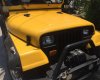 Jeep Wrangler MT 1989 - Bán Jeep Wrangler MT năm 1989, màu vàng
