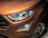 Ford EcoSport 1.0 Ecoboost  2018 - Bán ô tô Ford EcoSport 1.0 Ecoboost đời 2018, màu nâu, xe nhập