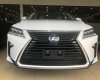 Lexus RX350 Luxury 2018 - Bán xe Lexus RX350 Luxury 2018, xe nhập mới 100% giao ngay