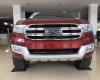 Ford Everest 2.2L 4x2 Titanium AT 2017 - Bán ô tô Ford Everest 2.2L 4x2 Titanium AT mới 100%, hỗ trợ trả góp, giá cả thương lượng