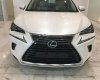 Lexus NX 2018 - Bán Lexus NX sản xuất 2018, màu trắng, nhập khẩu nguyên chiếc