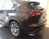 Lexus NX 2018 - Lexus NX200T nhập Mỹ, giấy tờ đầy đủ giao ngay