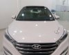 Hyundai Tucson 2018 - Cần bán xe Hyundai Tucson 2018, màu trắng