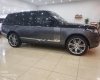 LandRover Range rover SV Autobiography 2016 - Bán ô tô LandRover Range Rover SV Autobiography sản xuất năm 2016, màu đen, xe nhập