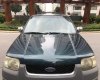 Ford Escape XLT 2004 - Cần bán Ford Escape XLT đời 2004 chính chủ