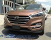 Hyundai Tucson 1.6 Tubor 2017 - Bán xe Hyundai Tucson Tubor tại Hyundai Cần Thơ, Hyundai Tây Đô