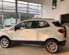 Ford EcoSport Ambient MT 2018 - Ford Thái Bình bán xe Ford Ecosport các phiên bản giá chỉ từ 545Tr, trả góp 80%. LH: 0988587365