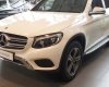 Mercedes-Benz Smart GLC 250 4Matic 2018 - Bán xe Mercedes GLC250 4Matic 2018 mới 100%, giao ngay, liên hệ ngay để nhận ưu đãi cực kỳ tốt