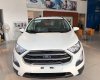 Ford EcoSport Ambient MT 2018 - Ford Thái Bình bán xe Ford Ecosport các phiên bản giá chỉ từ 545Tr, trả góp 80%. LH: 0988587365