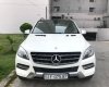 Mercedes-Benz ML Class 250 CDi 4Matic 2013 - Bán Mercedes 250 CDi 4Matic đời 2013, màu trắng, nhập khẩu