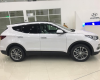 Hyundai Santa Fe 2.2 AT 2017 - Hyundai Santafe 2.2 AT KM lên đến 230tr, hỗ trợ vay 85% giá trị - Hotline 0935.90.41.41 - 0948.94.55.99