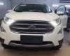 Ford EcoSport 1.5 MT Anbiente 2018 - Nhận đặt cọc ô tô Ford EcoSport đời 2018, màu trắng