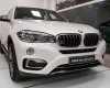 BMW X6 xDrive35i 2017 - Bán BMW chính hãng - BMW X6 xDrive35i, màu trắng, nhập khẩu, trả trước 290 triệu giao ngay