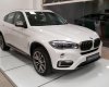 BMW X6 xDrive35i 2017 - Bán BMW chính hãng - BMW X6 xDrive35i, màu trắng, nhập khẩu, trả trước 290 triệu giao ngay