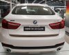 BMW X6 xDrive35i 2017 - Bán BMW chính hãng - BMW X6 xDrive35i, màu trắng, nhập khẩu, trả trước 290 triệu giao ngay