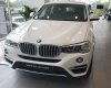 BMW X4   xDrive20i 2017 - Bán ô tô BMW X4 xDrive20i đời 2017, màu trắng, nhập khẩu nguyên chiếc