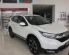Honda CR V 2.0 2017 - Honda Ô tô Hải Dương chuyên cung cấp dòng xe Honda CRV, xe giao ngay hỗ trợ tối đa cho khách hàng- Lh 0983.458.858