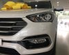 Hyundai Santa Fe 2018 - Xe Hyundai Santafe máy dầu đặc biệt - Nhận xe trong tháng - 0914200733